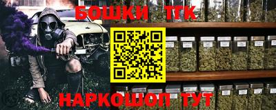 прущие грибы Абакан