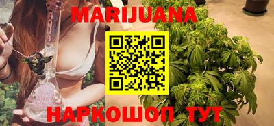 прущие грибы Абакан