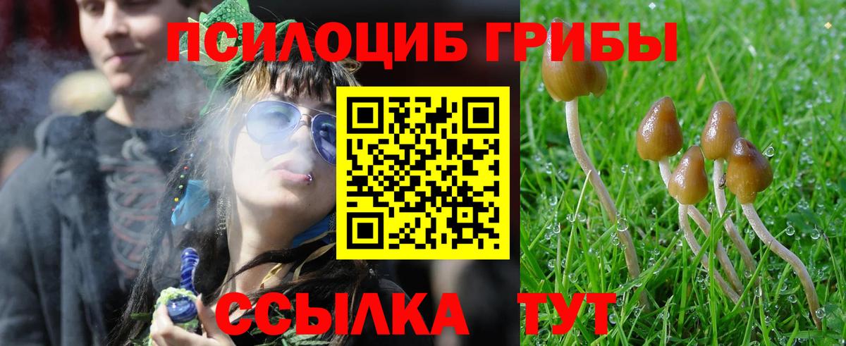 Псилоцибиновые грибы Psilocybine cubensis  Вход с VPN  купить   Александров 